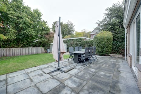 Zwanebloem 47 tertiary image