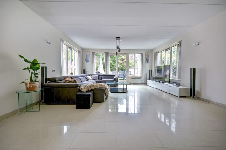 Photo 9 of Zwanebloem 47