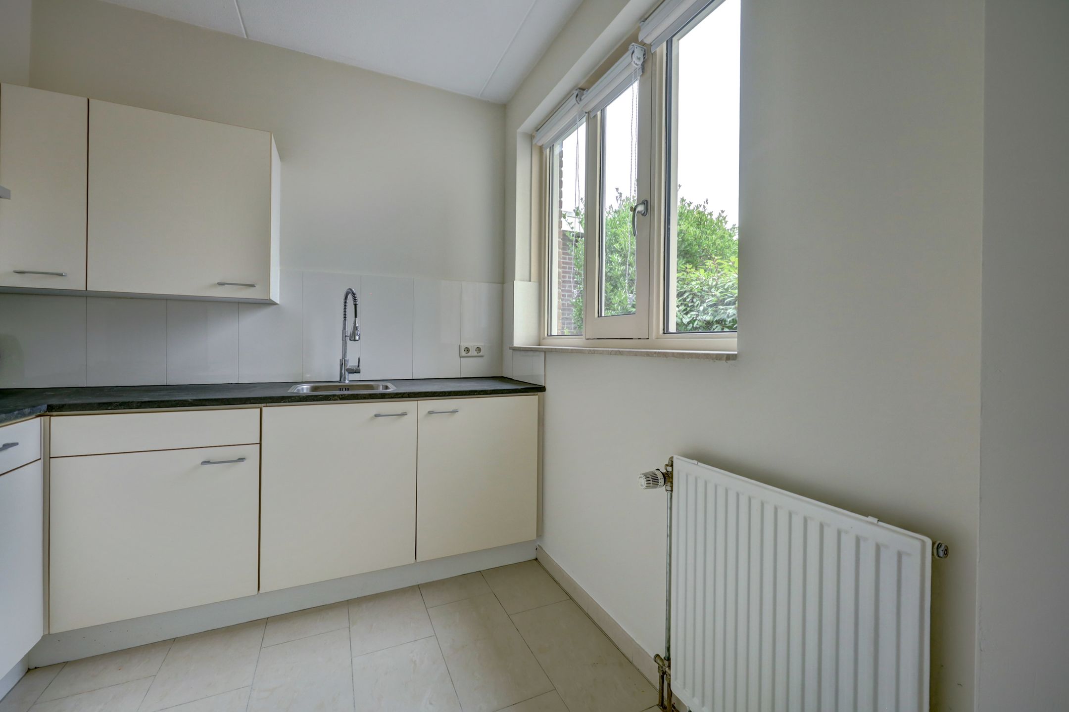 Photo 27 of Zwanebloem 47
