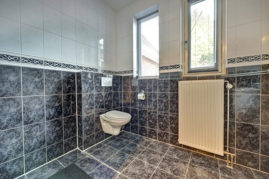 Photo 32 of Zwanebloem 47