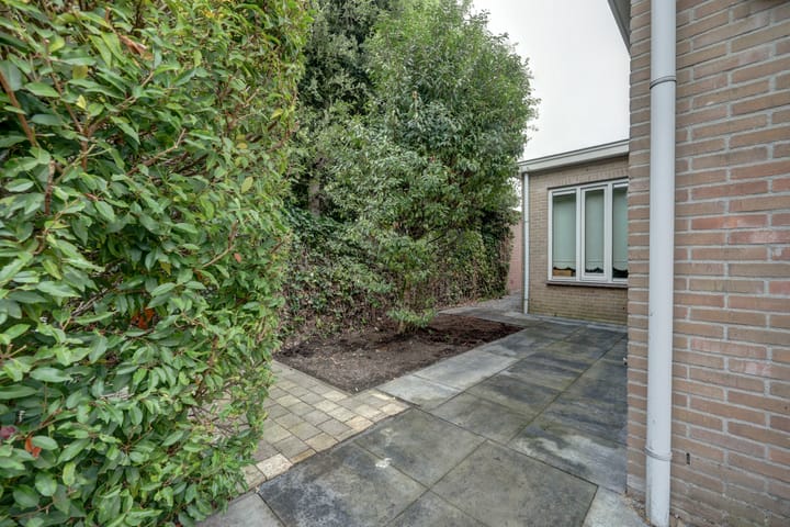 Photo 66 of Zwanebloem 47