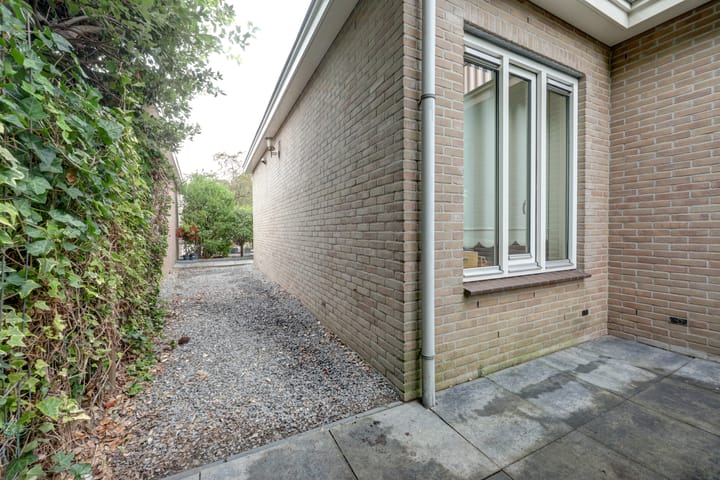 Photo 67 of Zwanebloem 47