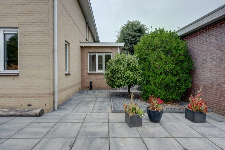 Photo 71 of Zwanebloem 47