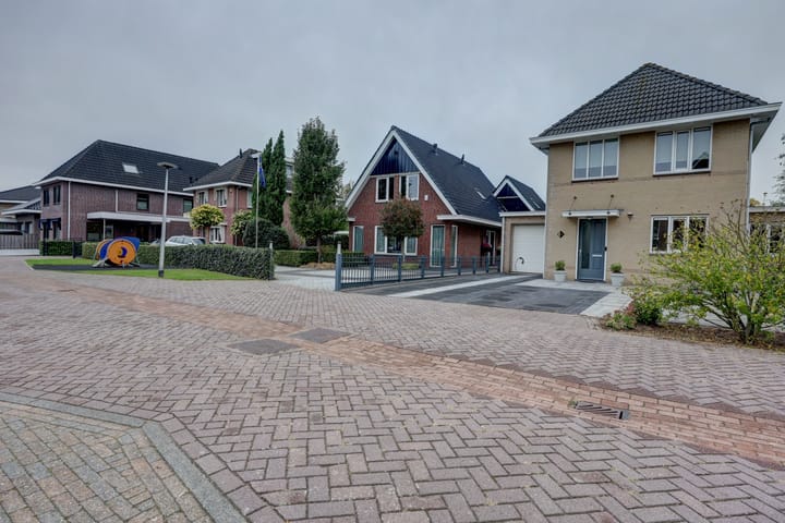 Photo 73 of Zwanebloem 47