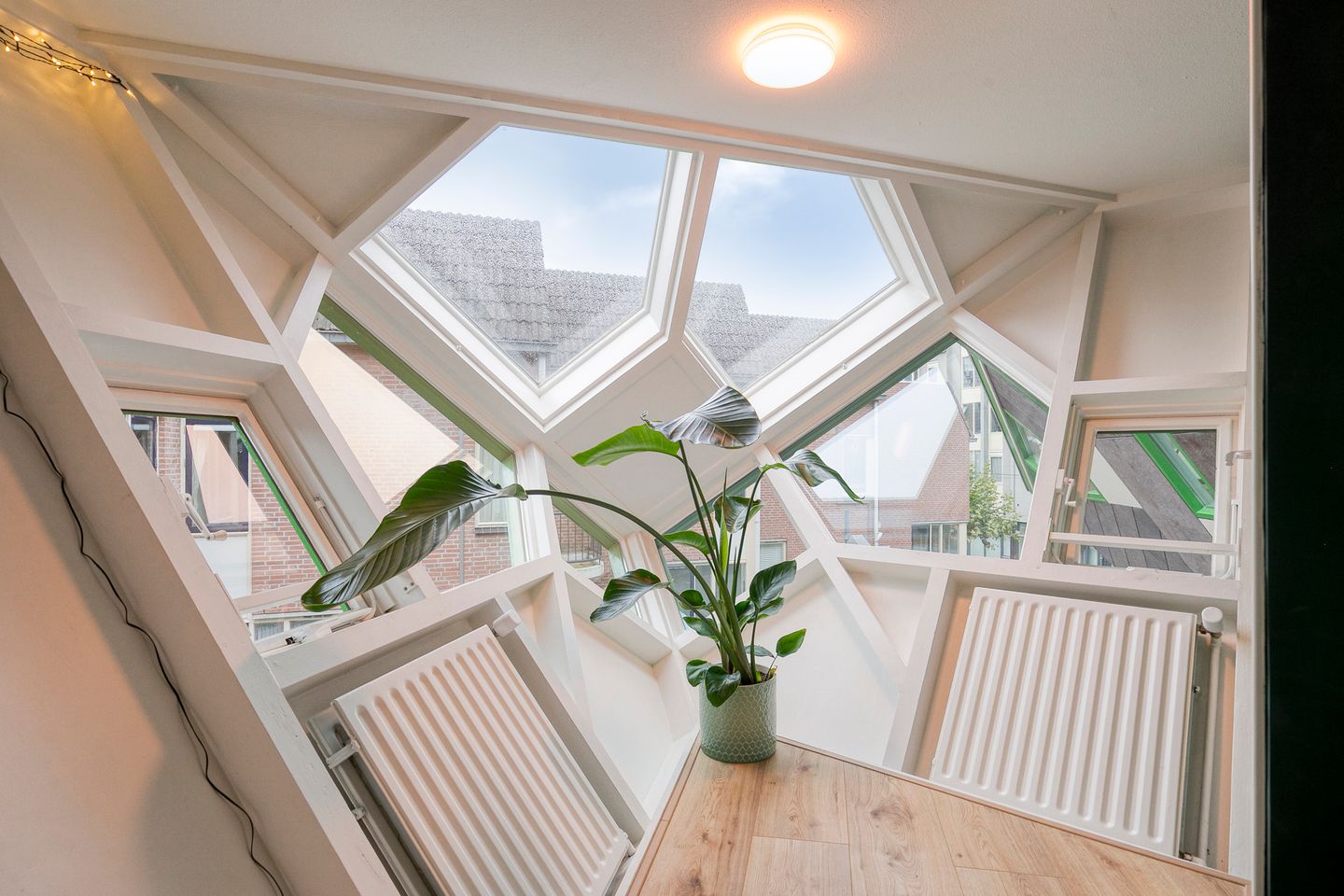 Photo 14 of Piet Blomplein 8