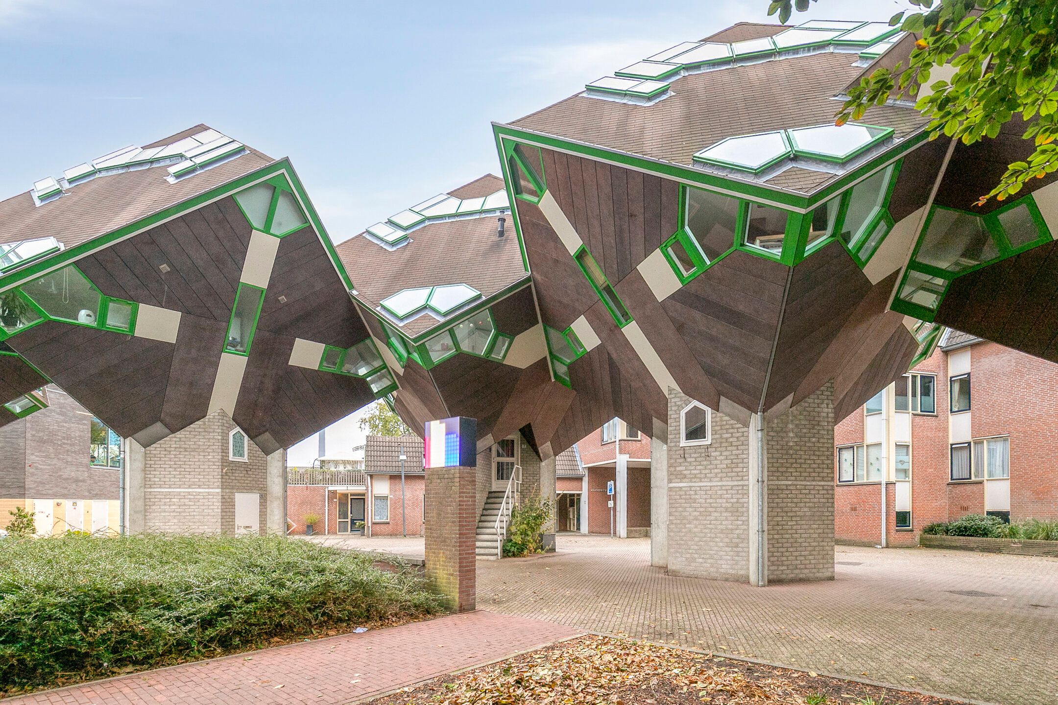 Photo 30 of Piet Blomplein 8