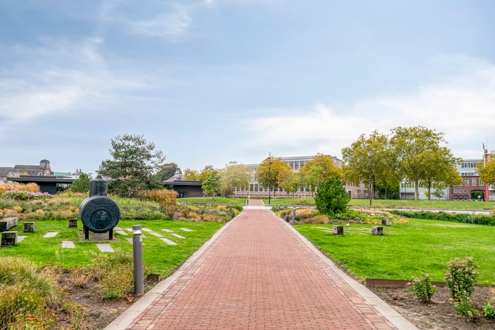 Foto 31 van Piet Blomplein 8