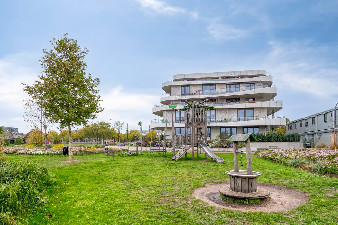 Photo 32 of Piet Blomplein 8