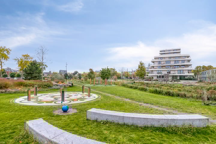 Foto 33 van Piet Blomplein 8