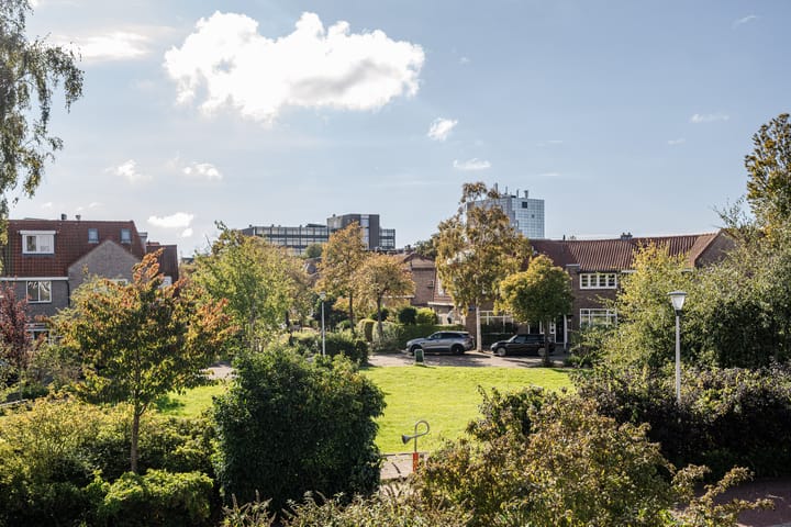 Foto 31 van Rhododendronplein 14