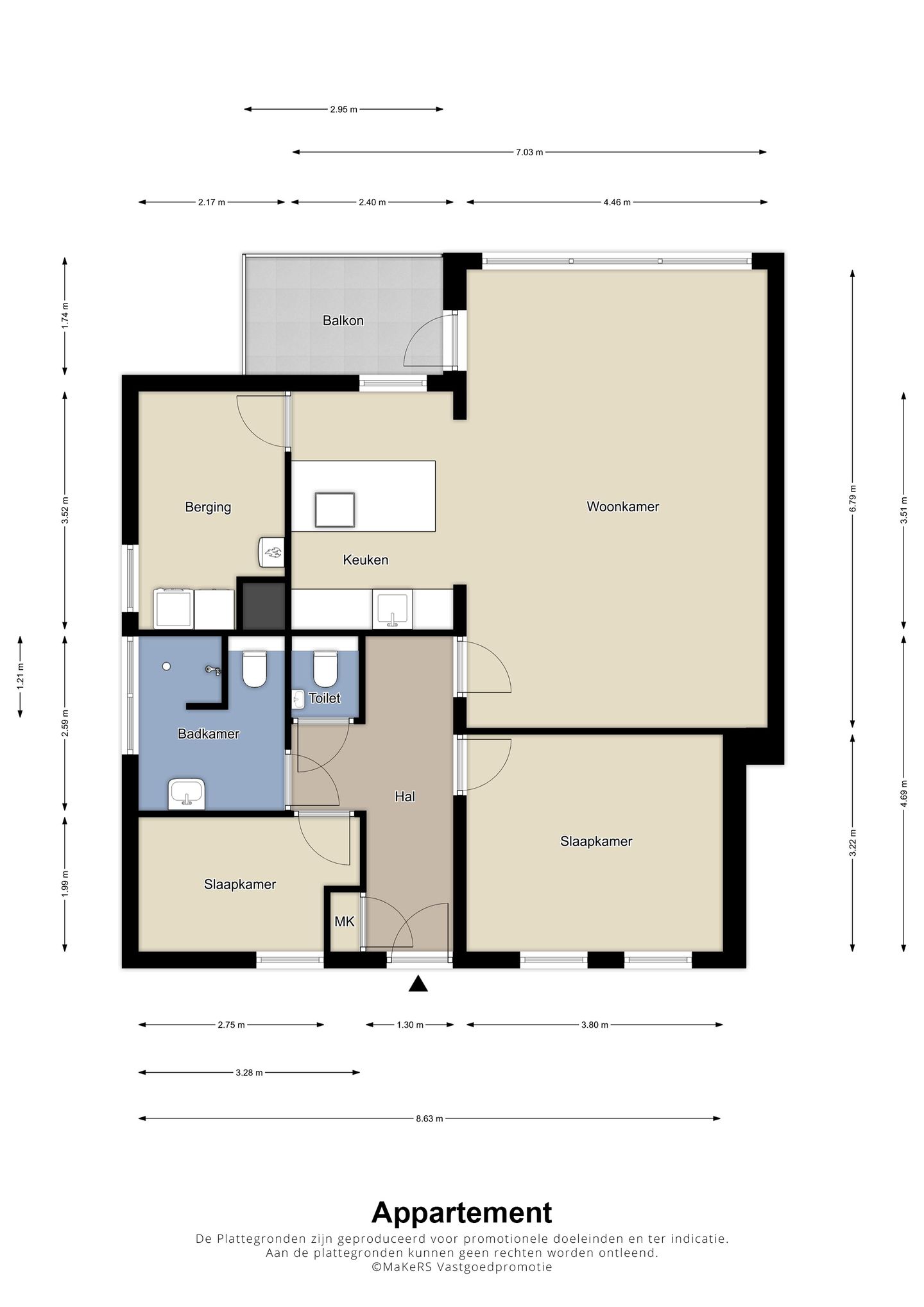 Foto 35 van Mantelmeeuw 2