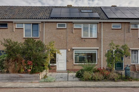 undefined main image