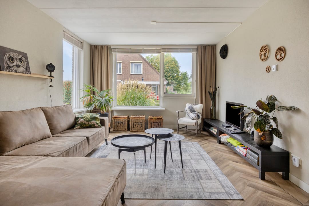 Foto 2 van Sterrekroos 125