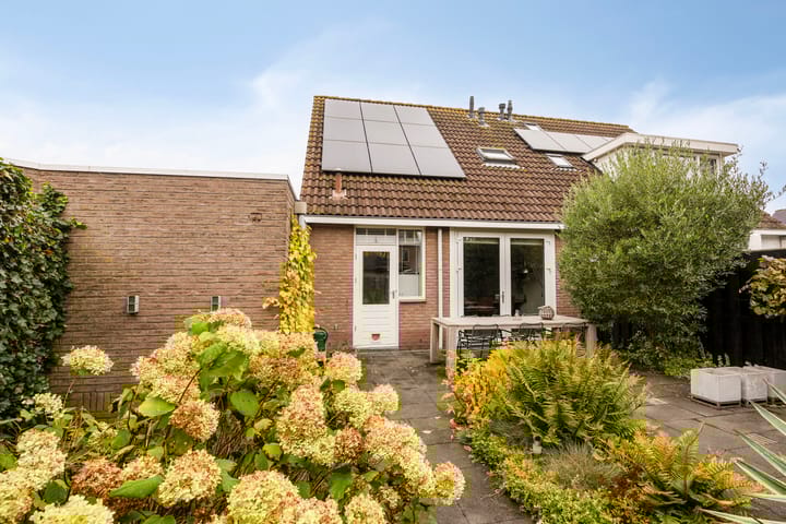 Foto 5 van Sterrekroos 125