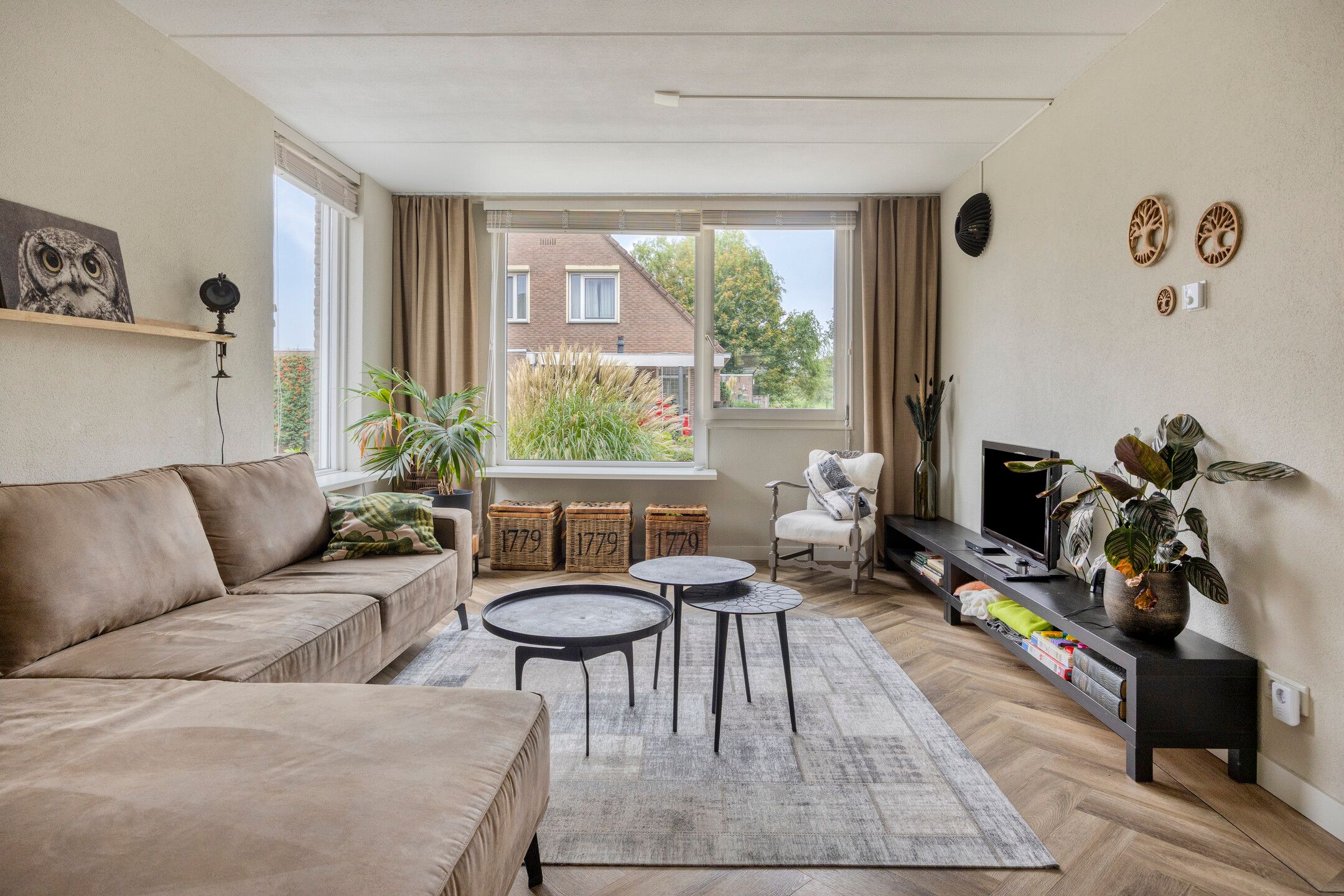 Foto 6 van Sterrekroos 125