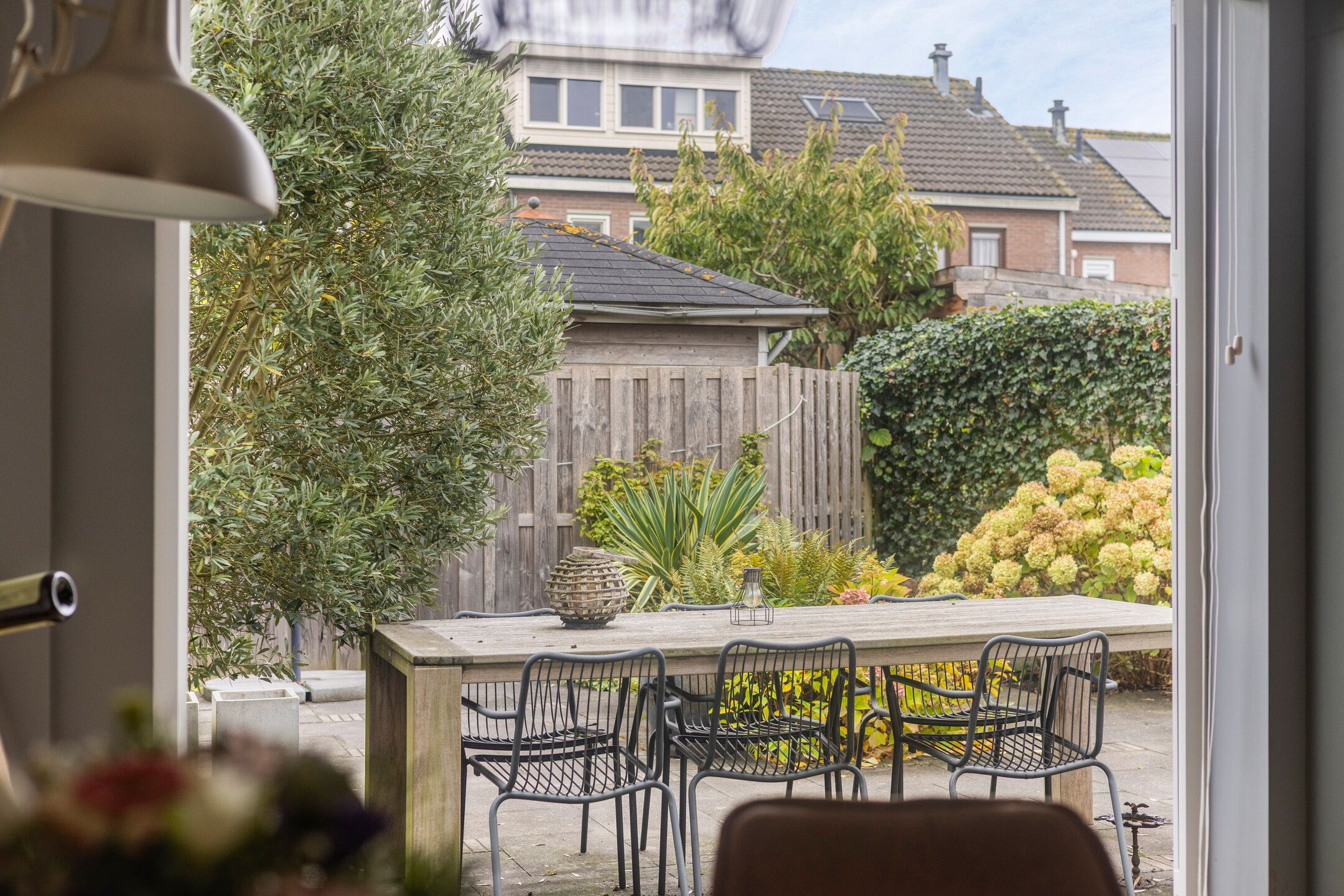 Foto 15 van Sterrekroos 125