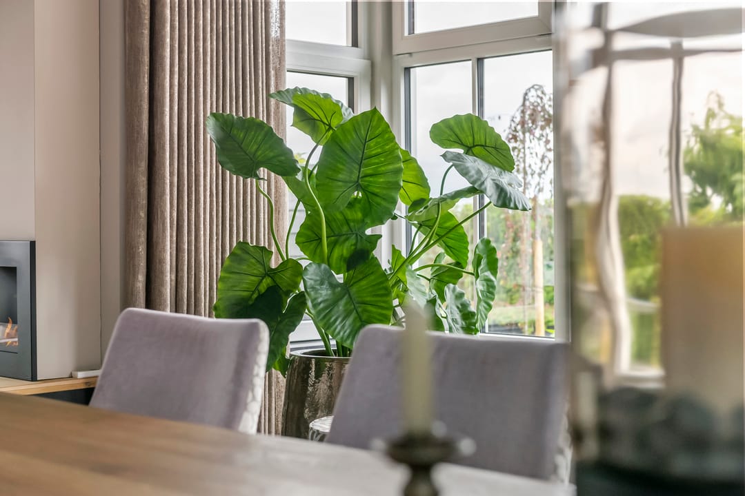 Foto 28 van Smalsteeg 3