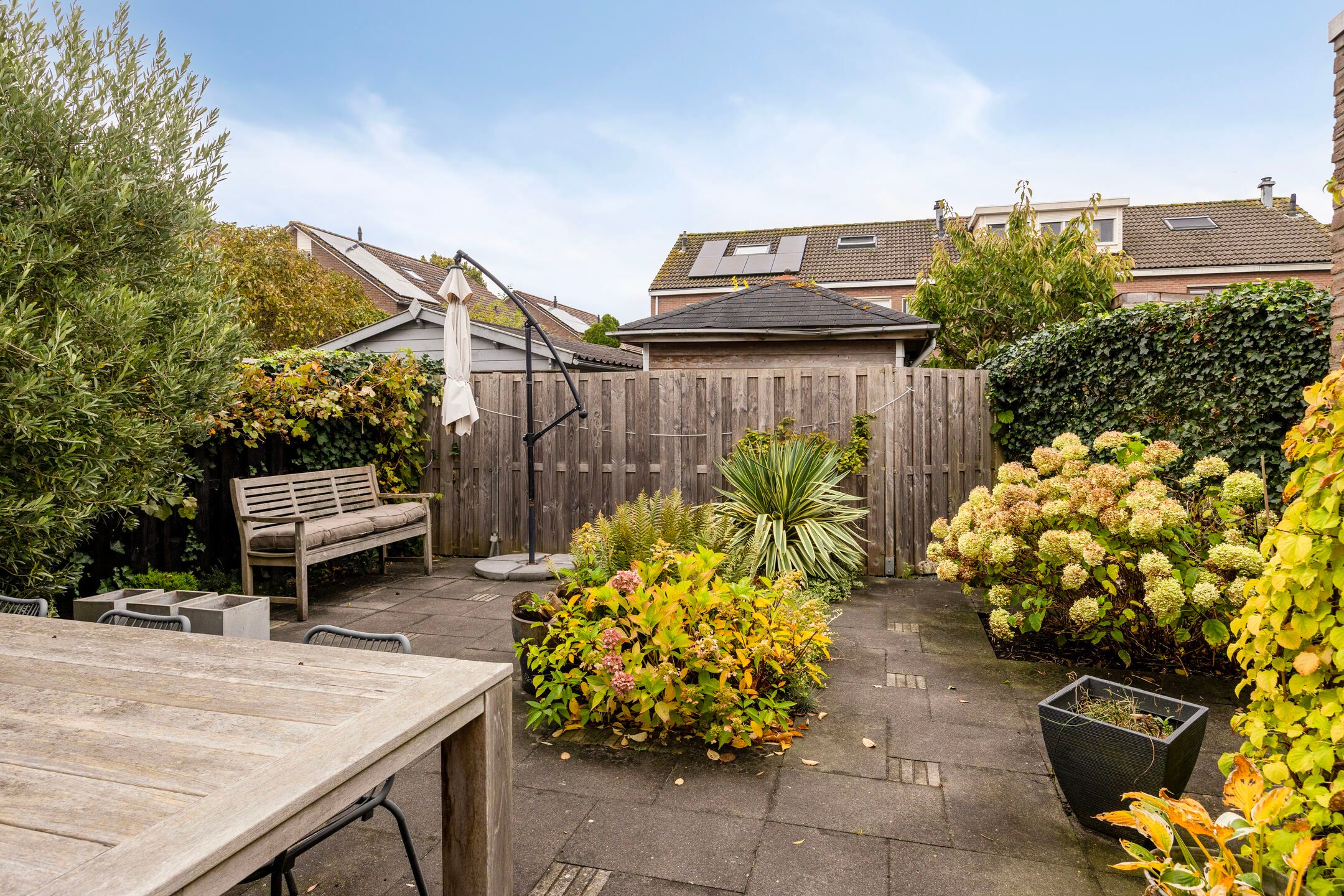 Foto 27 van Sterrekroos 125