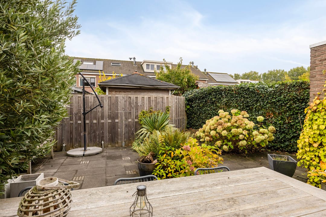 Foto 28 van Sterrekroos 125