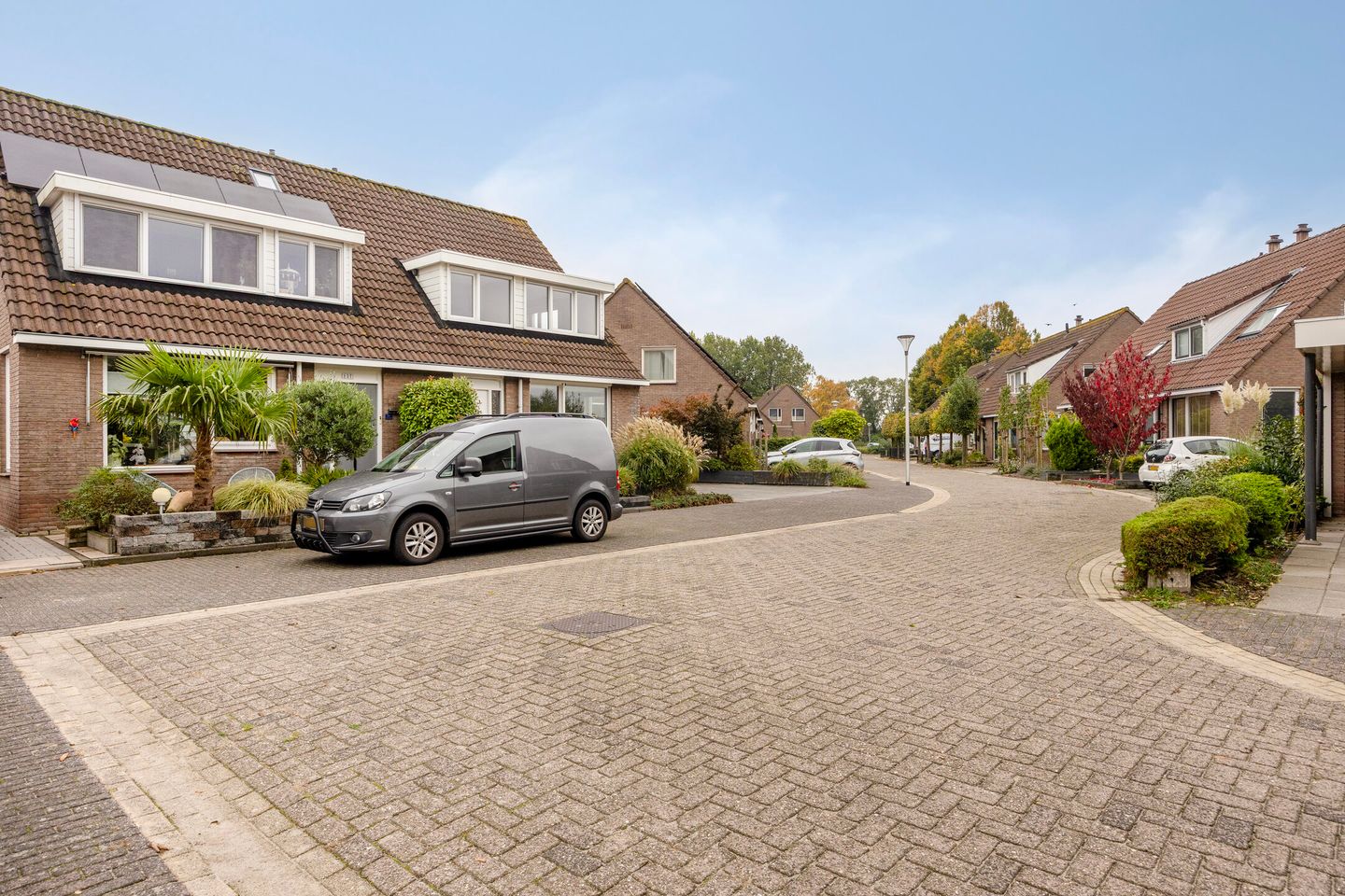 Foto 34 van Sterrekroos 125