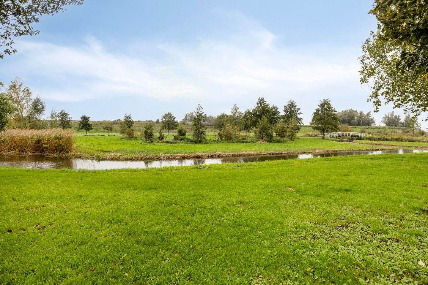 Foto 35 van Sterrekroos 125