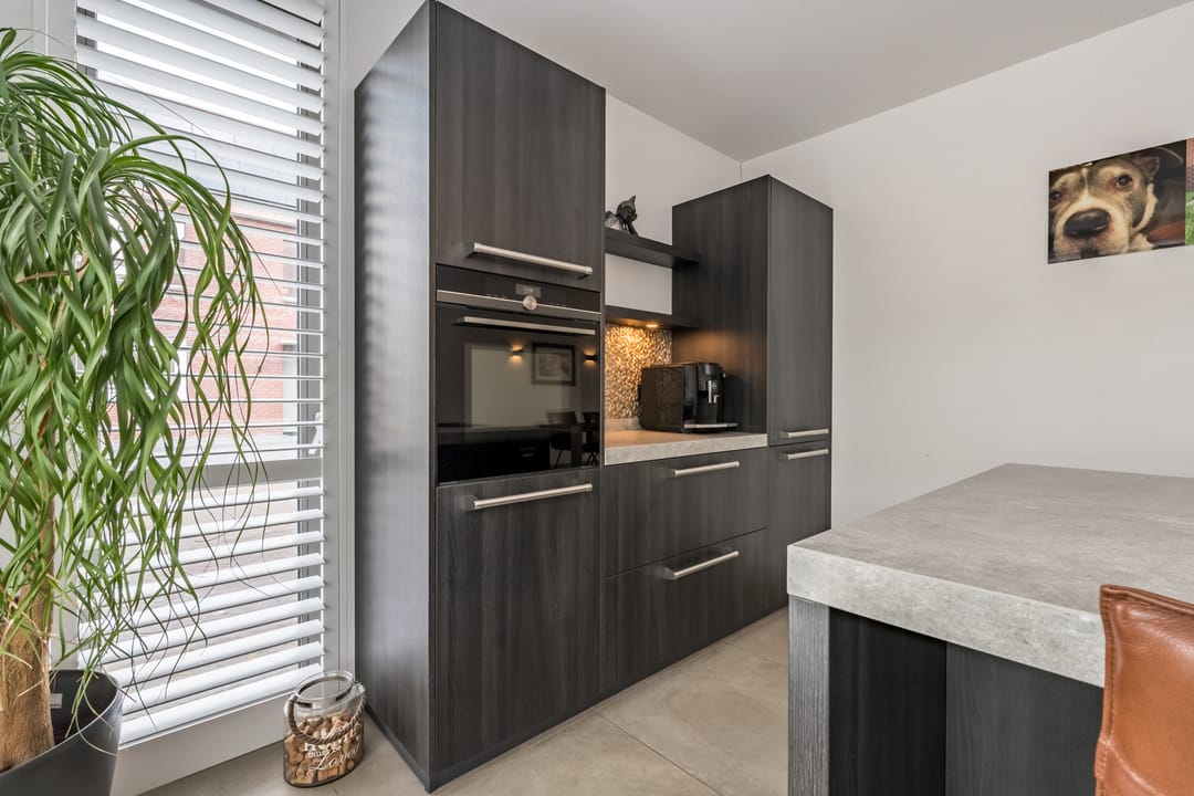 Foto 13 van Tureluur 7