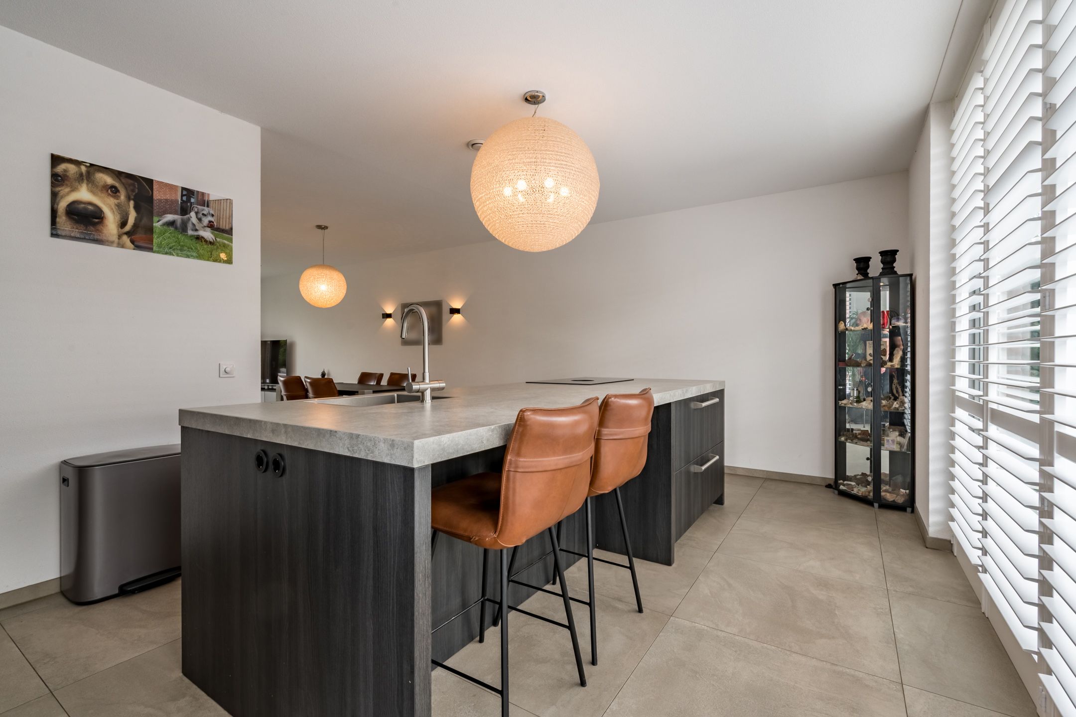 Foto 9 van Tureluur 7