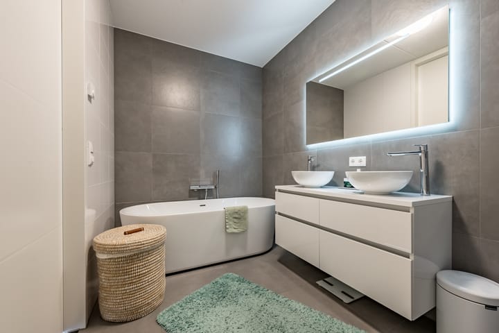 Foto 3 van Tureluur 7