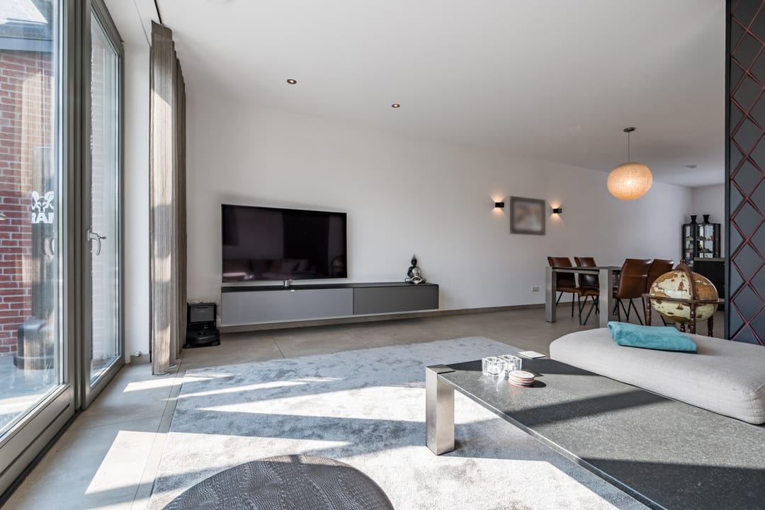 Foto 8 van Tureluur 7