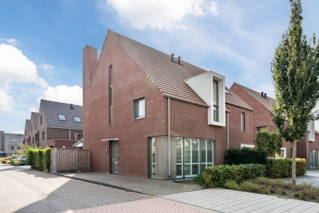 Foto 1 van Tureluur 7