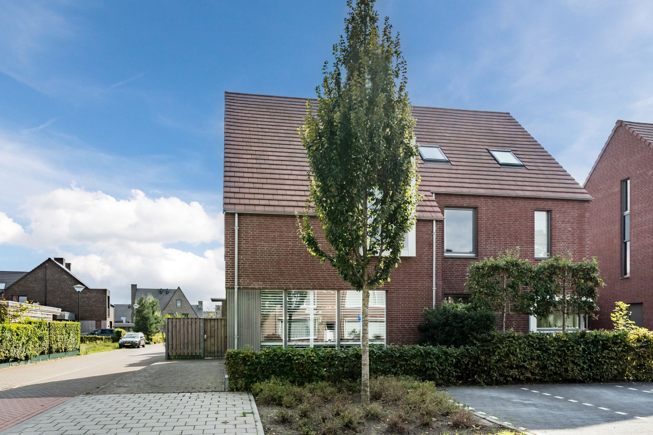 Foto 48 van Tureluur 7