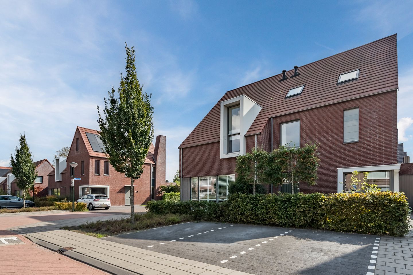 Foto 50 van Tureluur 7