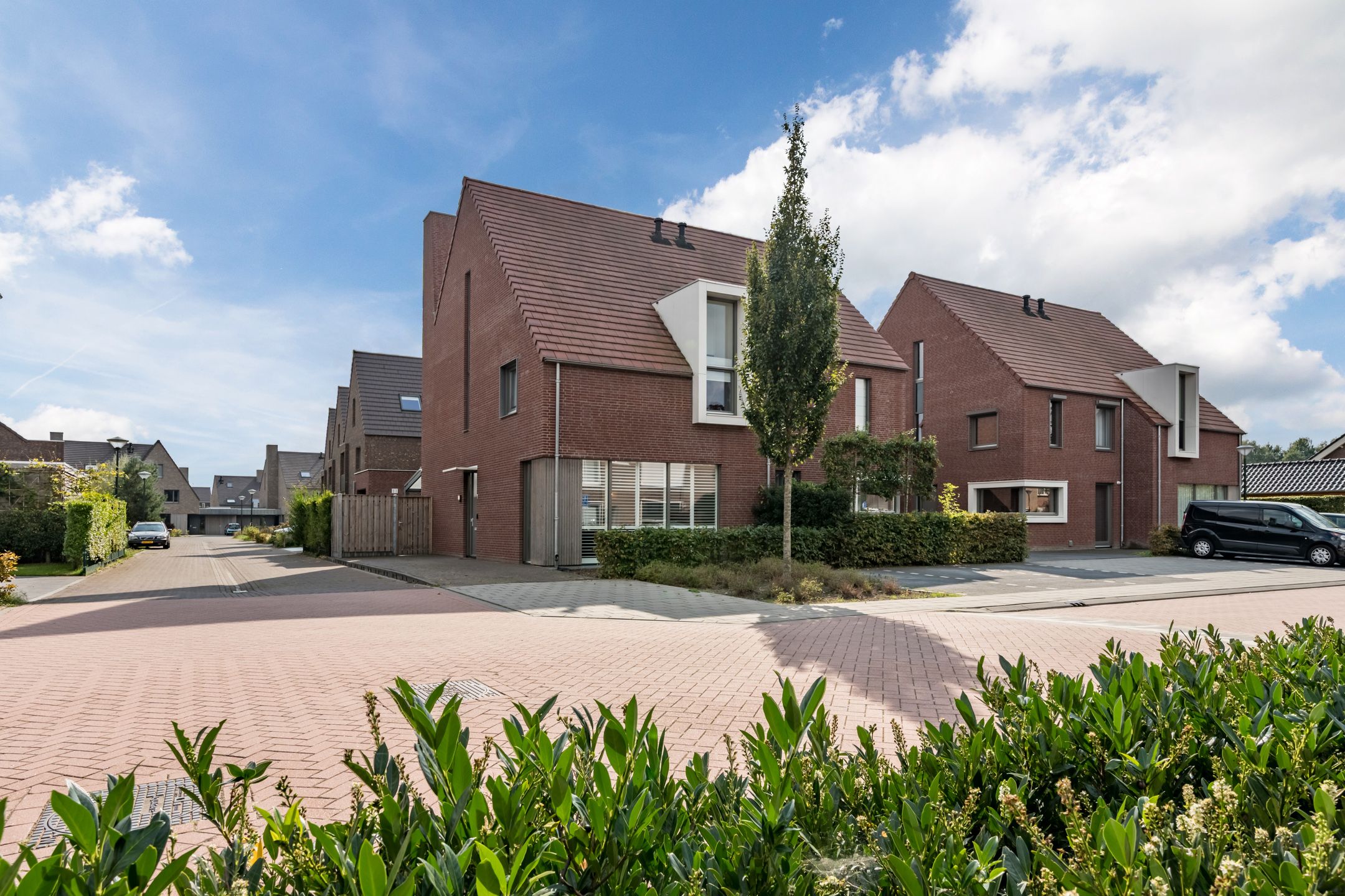 Foto 51 van Tureluur 7