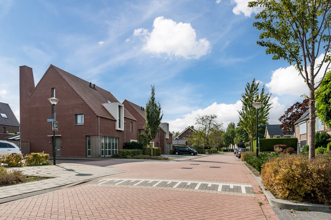 Foto 52 van Tureluur 7