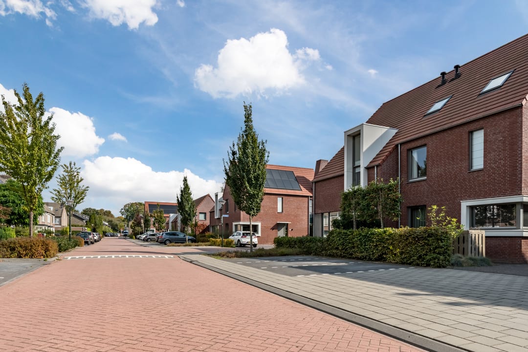 Foto 53 van Tureluur 7