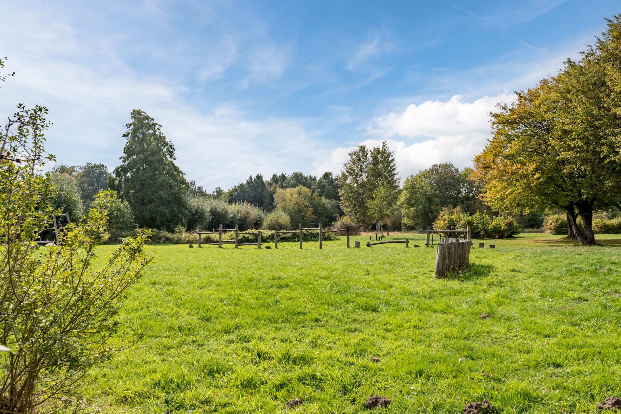 Foto 54 van Tureluur 7