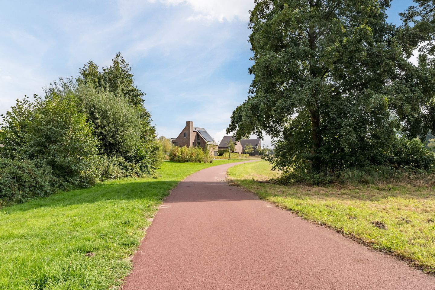 Foto 55 van Tureluur 7