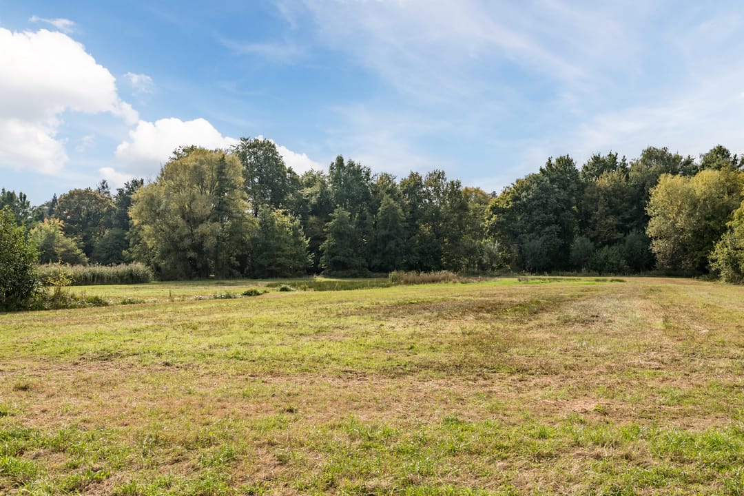 Foto 56 van Tureluur 7