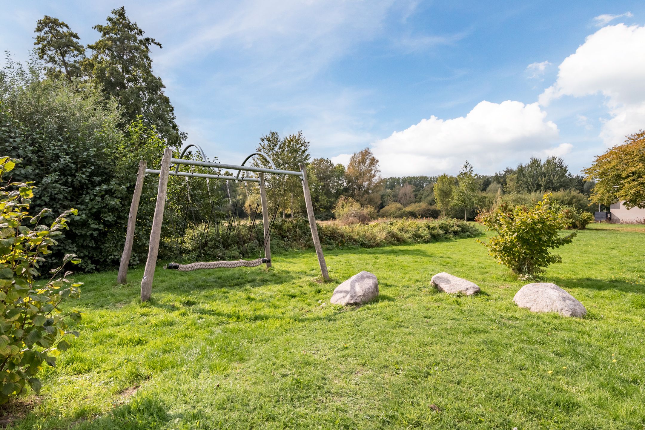 Foto 57 van Tureluur 7