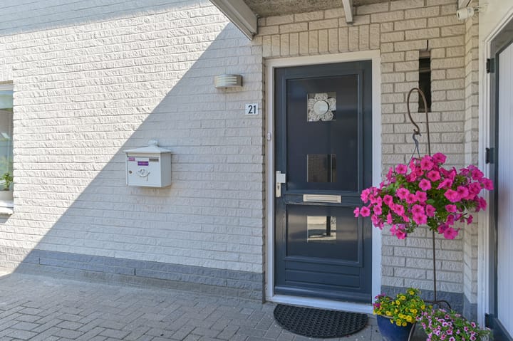 Foto 7 van Purperreiger 21