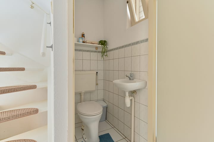 Foto 10 van Purperreiger 21