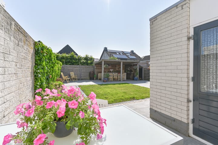 Foto 80 van Purperreiger 21