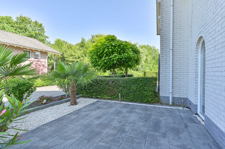 Foto 85 van Purperreiger 21