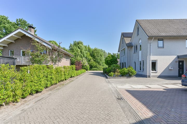 Foto 90 van Purperreiger 21