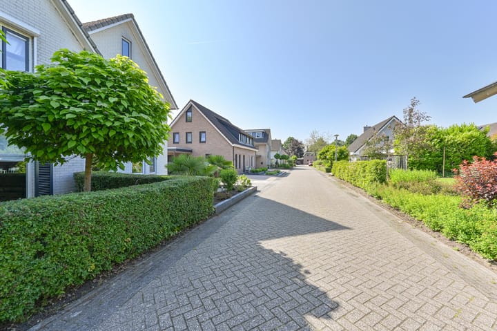 Foto 91 van Purperreiger 21