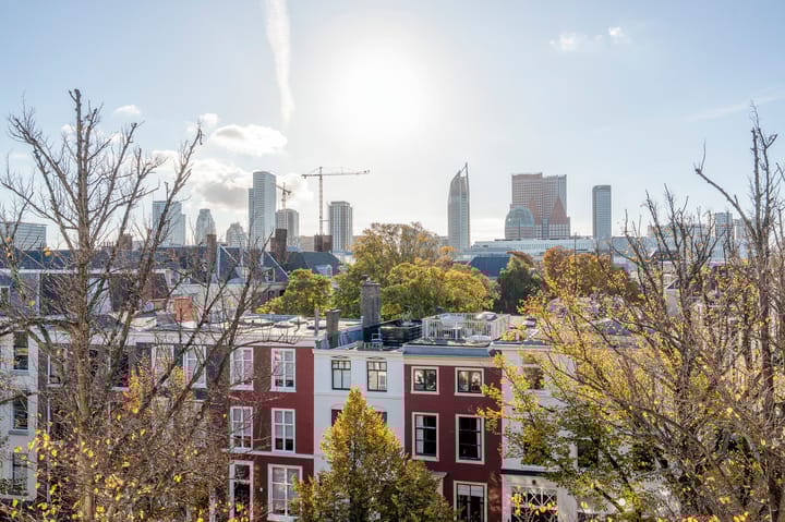 Foto 8 van Houtweg 58