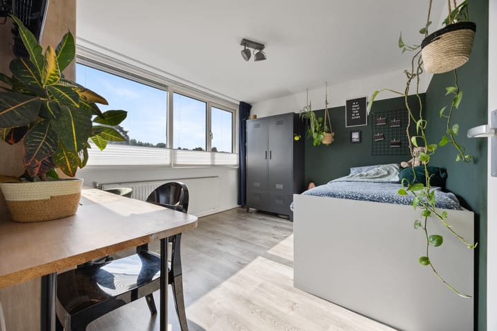 Photo 39 of Archimedesstraat 10