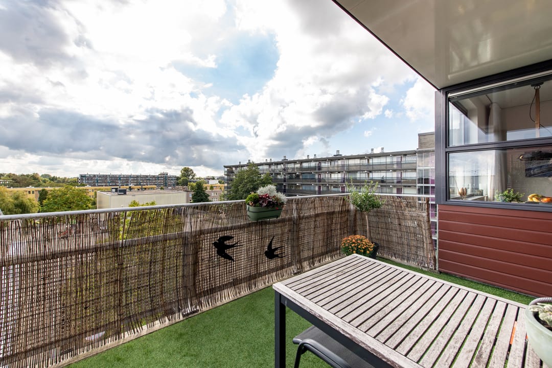 Foto 17 van Leonardo da Vinciplein 104