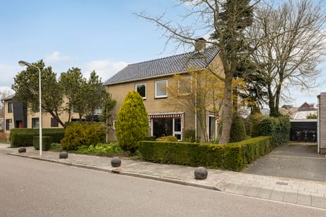 Wylpstrjitte thumbnail