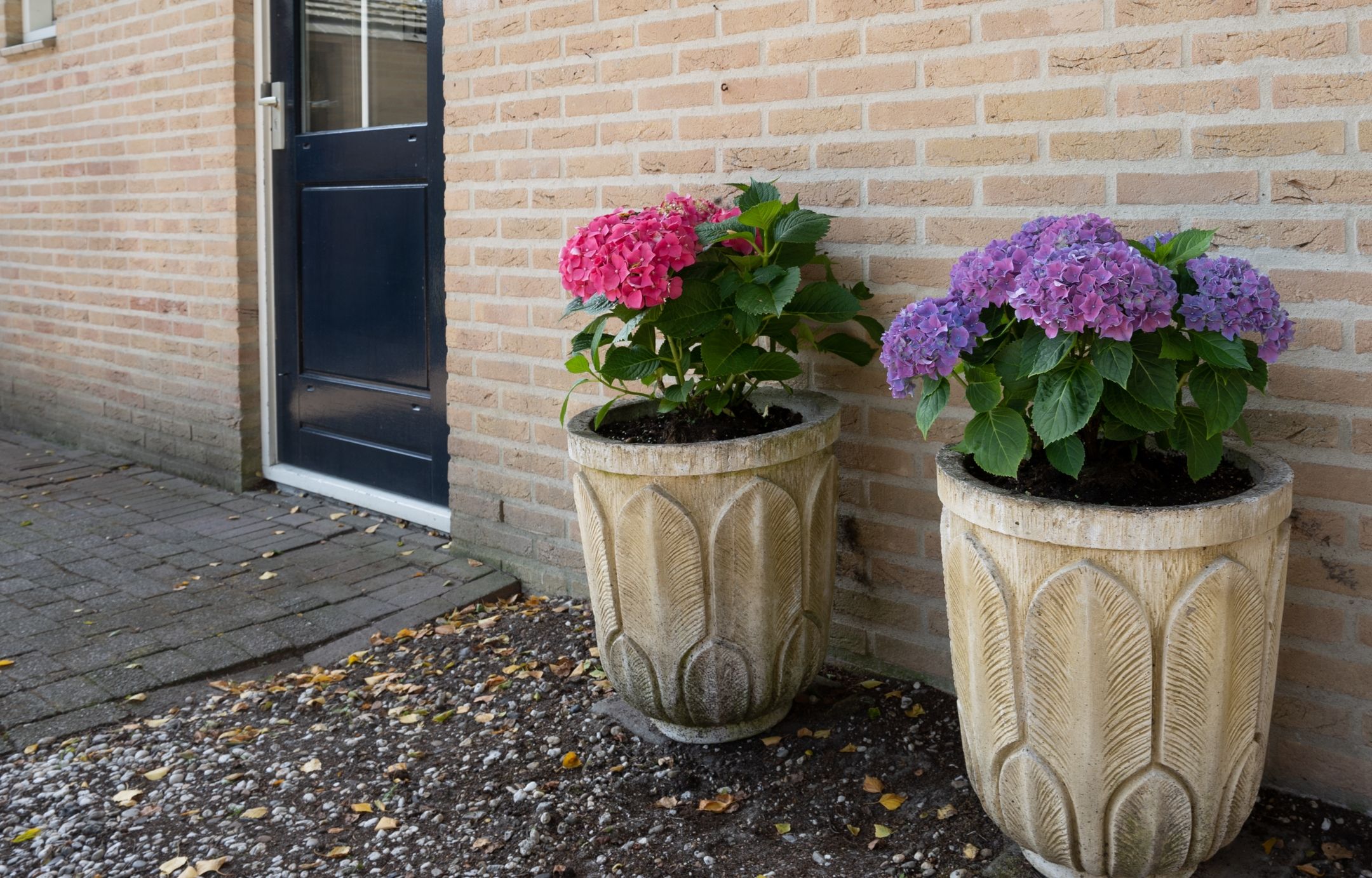 Foto 36 van Korhoenlaan 1-52